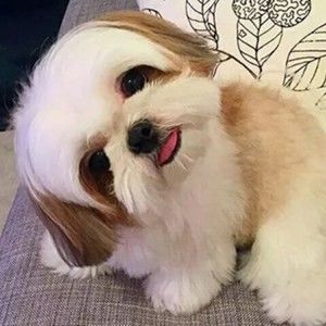 Meet your Posher, Kery